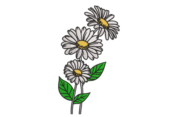 Download Sketch Daisy Trio – Modern Botanical - Sketch Collection