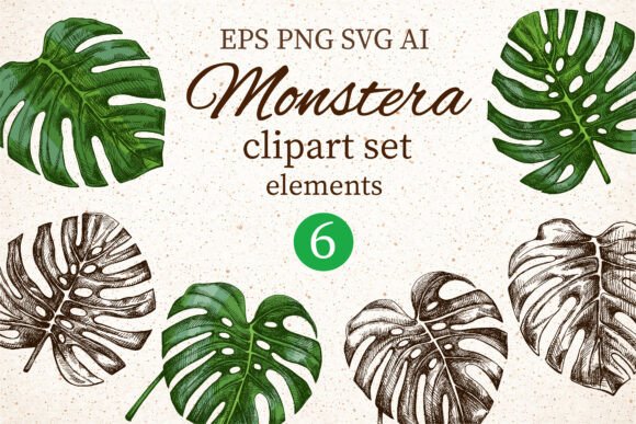 Download Monstera Clipart Set Elements - Element Collection